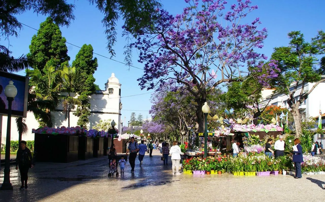 Pimenta Funchal Downtown Lejlighed